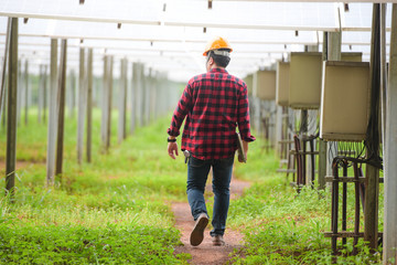 Engineers inspect at solar power stations in Asia