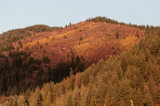 Mountain Side at Sunset