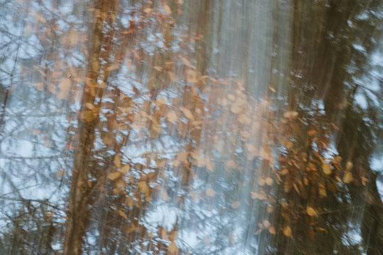 Autumn Blur