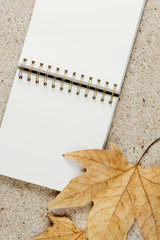 open notebook on the table top view, with golden leaves