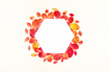 Bright, red leaves on  a pastel background