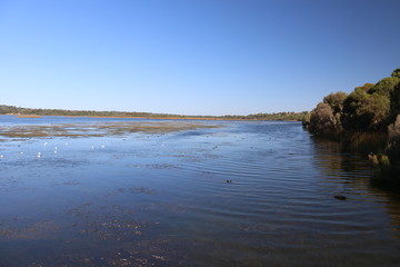 Lakeside view