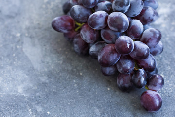 A bunch of ripe blue grapes close-up on a blue concrete shabby background