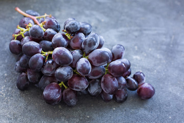 A bunch of ripe blue grapes close-up on a blue concrete shabby background