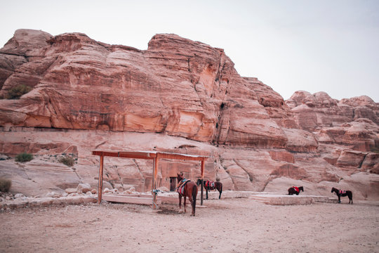 Rose red rocks in the ancient city of Petra in Jordan