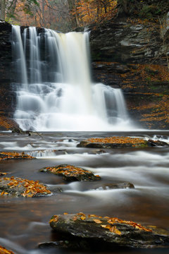 Sheldon Reynolds Falls