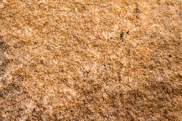 rock skin , stone texture , boulder surface