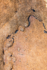 rock skin , stone texture , boulder surface