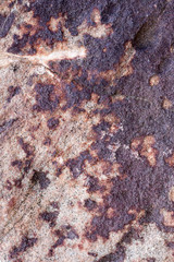 rock skin , stone texture , boulder surface