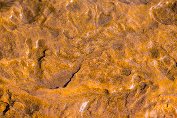 rock skin , stone texture , boulder surface