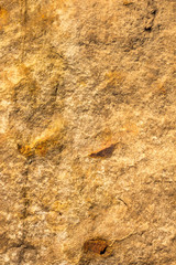 stone texture , rock surface , boulder skin