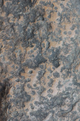 texture of stone