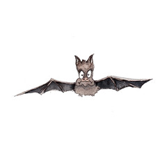 Watercolor hand drawn Halloween bat  illustration isolated on white background