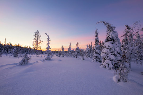 Winter snowscape with forest, cloudy sky and sun. Winter evening landscape. Lapland, Finland