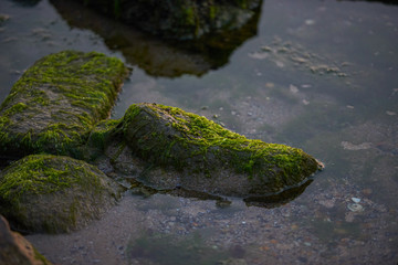 Rocks and sea The natural landscape