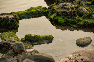 Rocks and sea The natural landscape