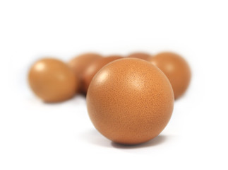 Group of raw chicken eggs. Leader in front, One in the foreground, the rest blurred.