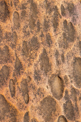 footprints in the sand