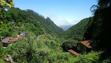Madeira Balcoes
