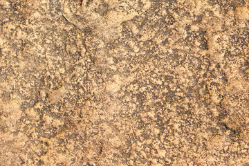 Naklejka premium texture of stone