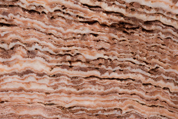 closeup of texture