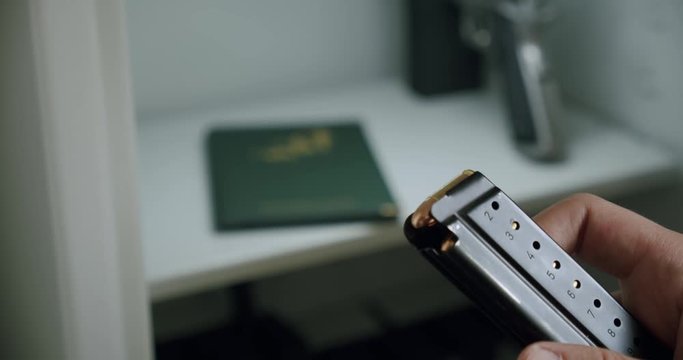 Place the magazine of a pistol in the gun safe.