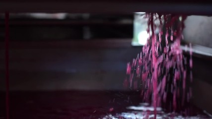 Dripping Pinot Noir juice through tray view underneath for winemaking, panning up - Powered by Adobe