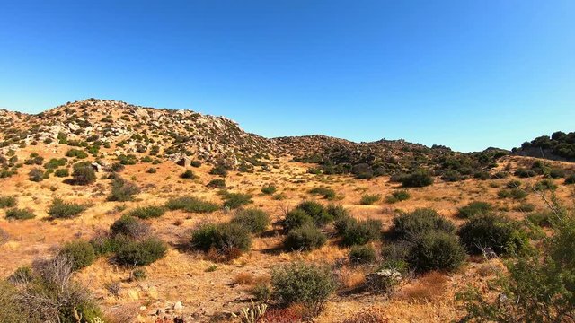 Clip of rugged wild west desert background with straw-colored grasses, granite rocks, Manzanita, cactus, hills, prairie grass, white sand and mountains. Filmed in southwest United States.