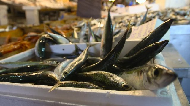 Medium close-up low angle still shot of fresh tuna fish at a street market against blurred background, Paris, France
