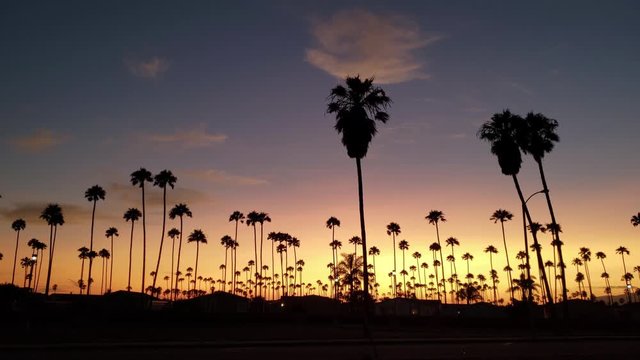 Palm tree silhouettes during sunset with passing cars in Ventura california