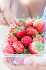 fresh strawberries in hands