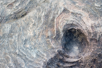 rock in the water