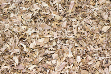 background of wood shavings