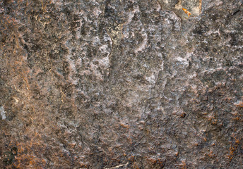 lichen on rock