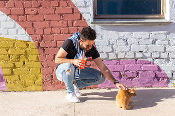 Fototapeta premium Friendship between man and cat on background of colourful wall outdoor