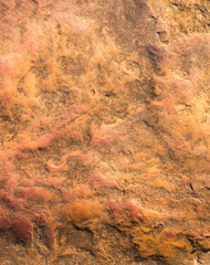 abstract fire background