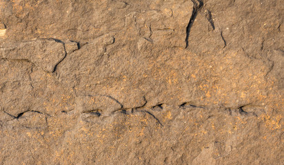 dry cracked earth