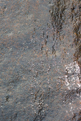 old wall background