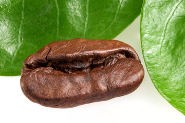 coffee bean with two green leaves on a white background, isolate. concept: freshness of coffee beans. horizontal view