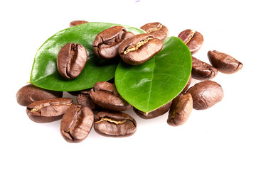 a bunch of coffee beans with green leaves on a white background, isolate. concept: freshness of coffee beans. bunch of beans