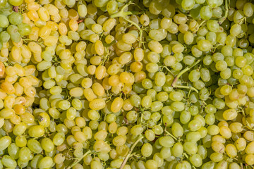 White grape fruits stacked on a surface as background.