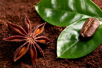 coffee bean with green leaf on ground coffee. concept: freshness of coffee beans. close up