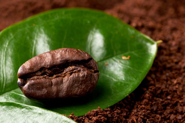 coffee bean with green leaf on ground coffee. concept: freshness of coffee beans, coffee with spices. close up