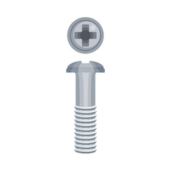Gray bolt with a cross on a hat. Side and top view. Vector illustration on a white background.