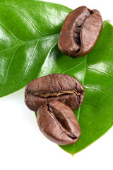 three coffee beans with a green leaf on a white background, isolate. concept: freshness of coffee beans. vertical view