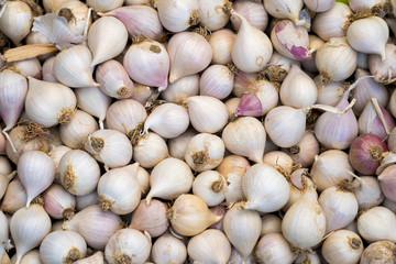 Tiny organic garlic vegetables stacked on a surface as background.