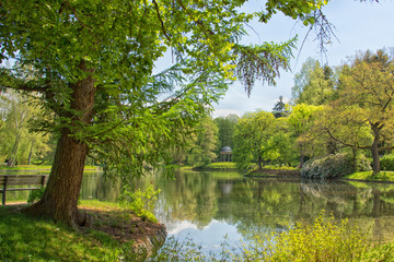 Fototapeta na wymiar Paul-Schindel-Park in Bad Elster mit Wasserspiegelung, Kurpark, Erzgebirge, Sachsen, Deutschland, Europa