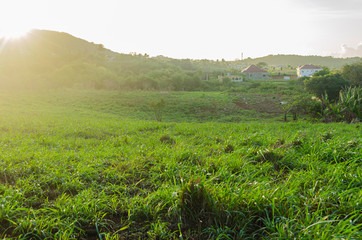 Morning Sunshine On The Mountain Top