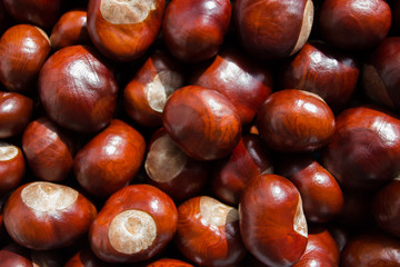 Background made from brown chestnut seeds