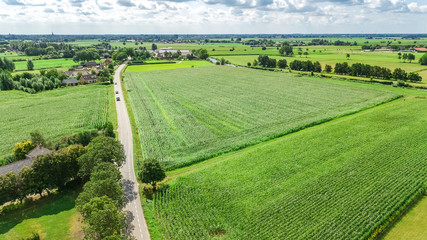 Aerial drone view of green fields and farm houses near canal from above, typical Dutch landscape,...